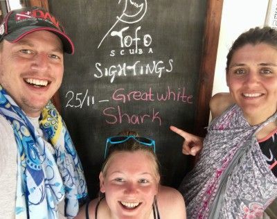 great white shark encounter 1