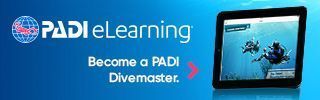 eLearning DM divers bnrs320x100