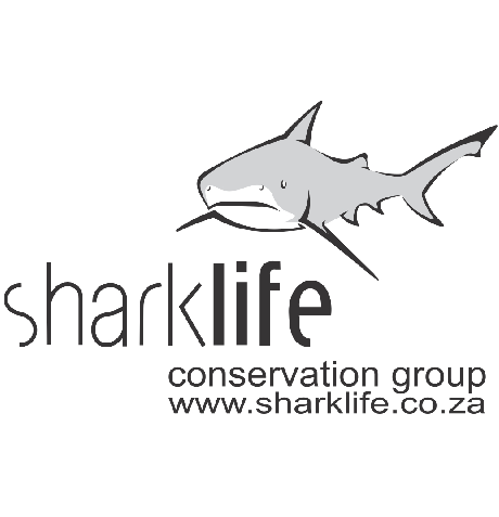 sharklife logo