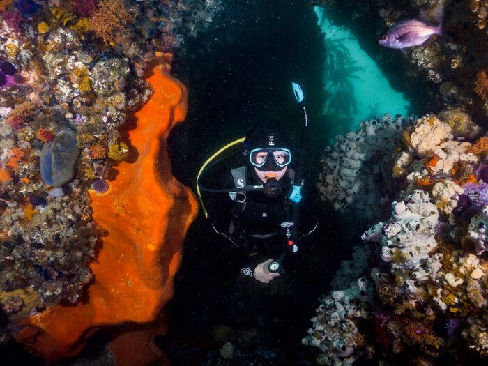 A diver exploring a swim through
