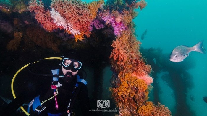 A scuba diver exploring the underwater world madelein wolf photography 1