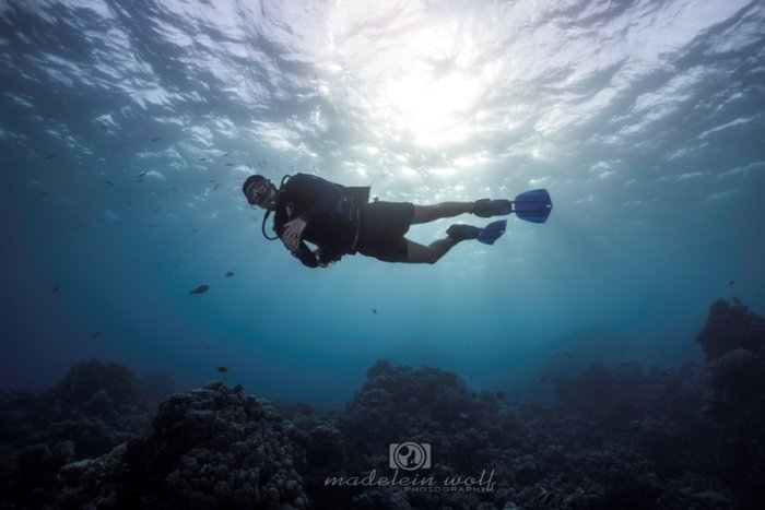 Are you new to scuba diving diver underwater