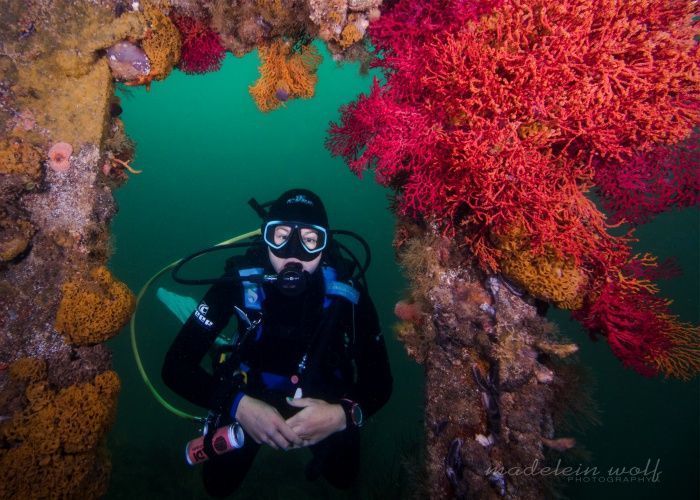 Become an Advanced Open Water Diver PADI
