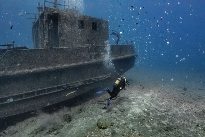 Bedgellet shipwreck st helena island 3
