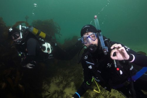 Discover Scuba Sea Dive 2
