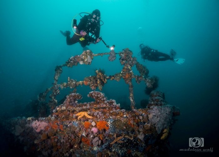 Divers exploring the Aster shipwreck in Hout Bay