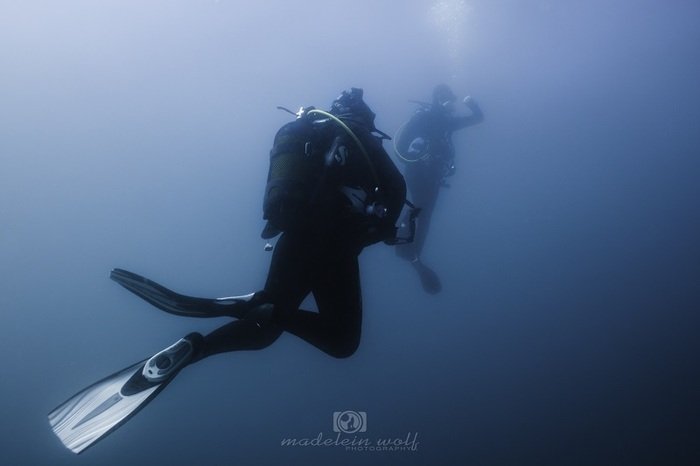 Divers heading to their safety stop