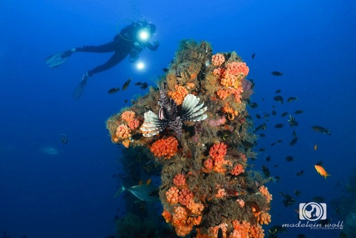 Diving on a deep wreck in Madagascar