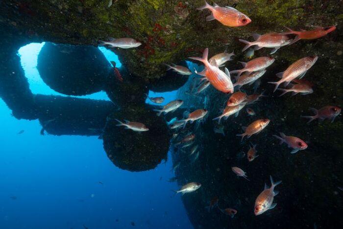 Frontier shipwreck st helena island 2