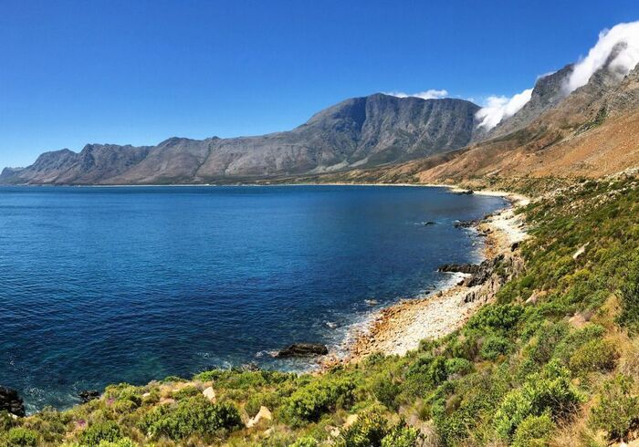 Gordons Bay diving Clarence Drive R66