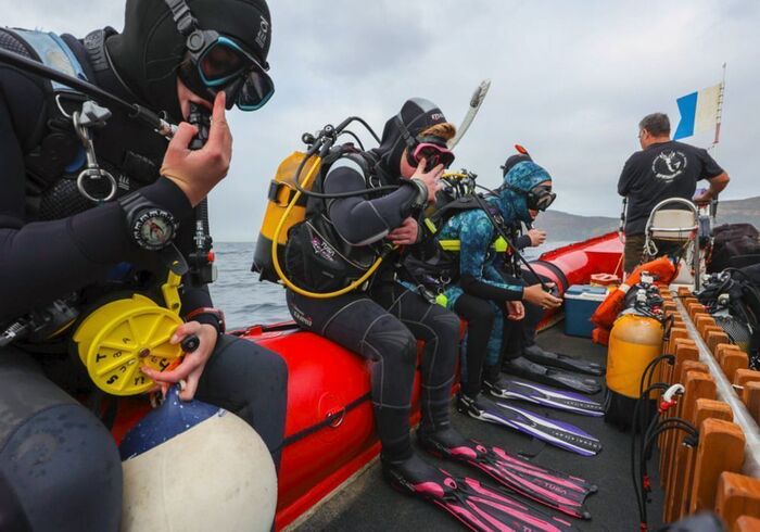 Gordons Bay diving divers