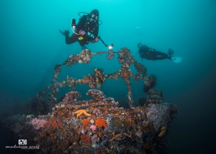 MV Aster Fishing Trawler Shipwreck Hout Bay 10