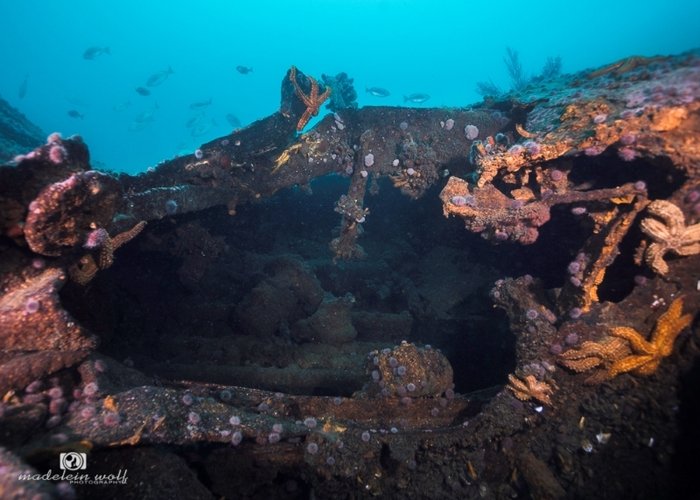 MV Katsu Maru Japanese Trawler Shipwreck Hout Bay 3