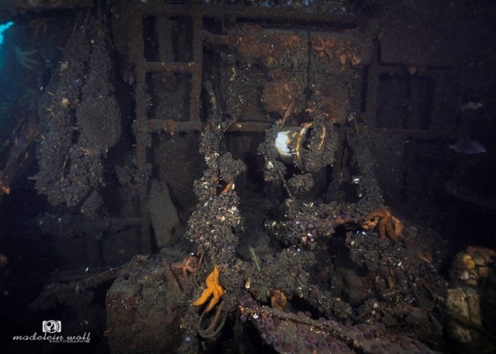 MV Katsu Maru Japanese Trawler Shipwreck Hout Bay
