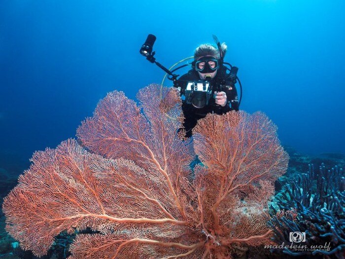 Madagascar Travel writing MadeleinWolf underwater 5