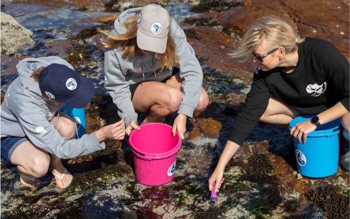 Ocean Foraging