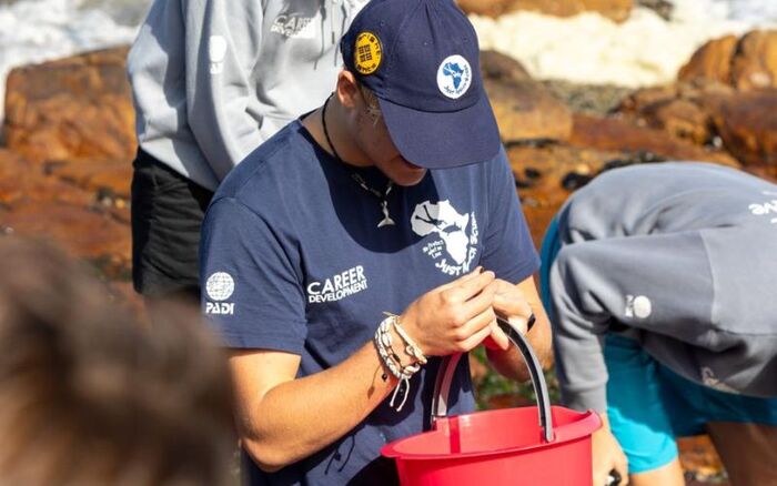 Ocean Foraging 1