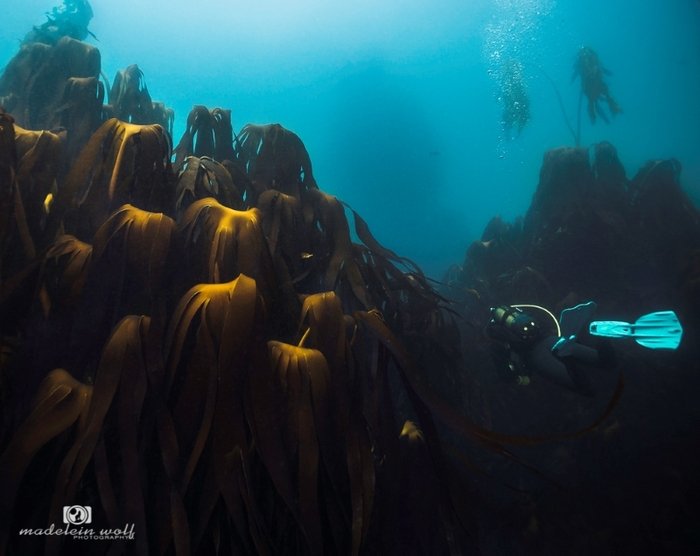SS Maori Steamship Wreck Hout Bay 2