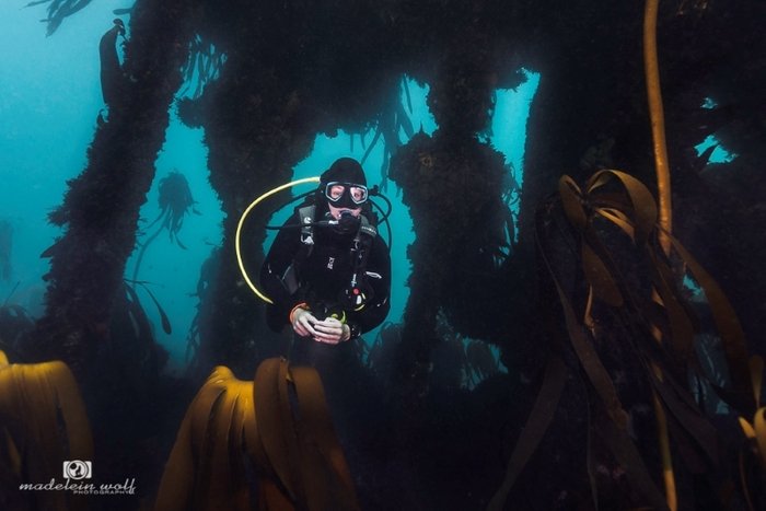 SS Maori Steamship Wreck Hout Bay 3