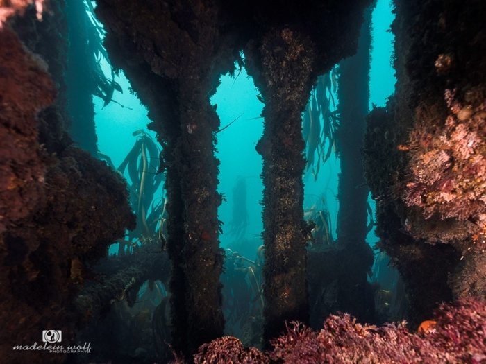 SS Maori Steamship Wreck Hout Bay 7