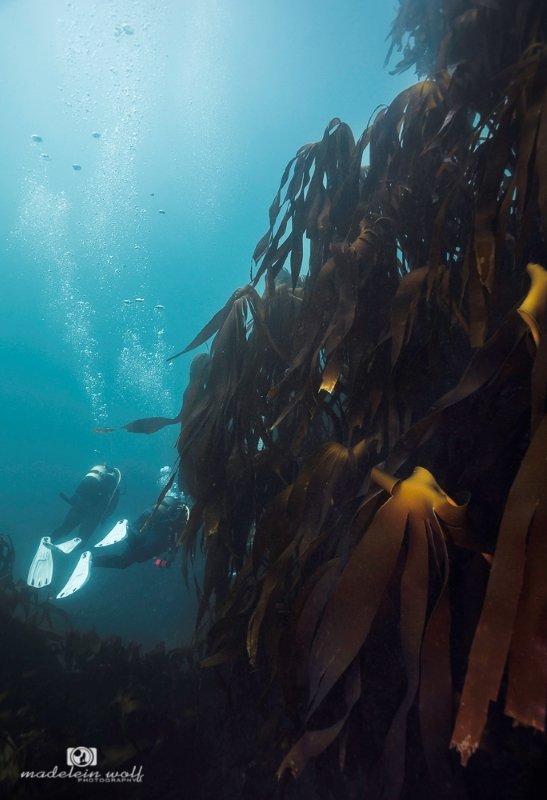 SS Maori Steamship Wreck Hout Bay