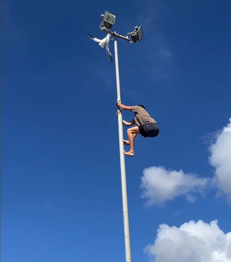 Saving a Seagull in Distress