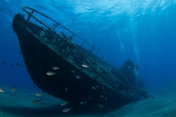 atlantic rose wreck