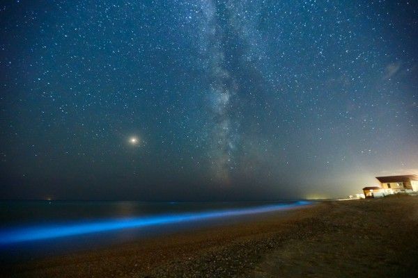 bioluminescence scuba blog