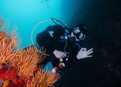 from pfo to padi pro mari van wyk underwater