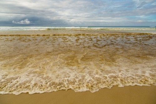 red tide scuba blog