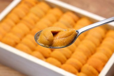 sea urchin meat