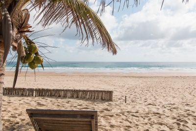 tofo scuba travel beach
