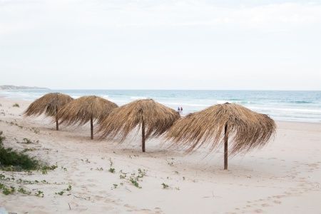 tofo scuba travel beach1
