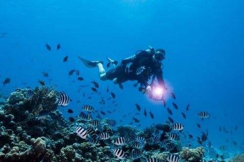 underwater photography color loss distance