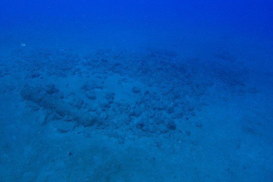 witte leeu wreck 1