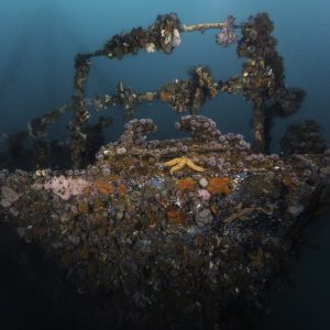 Advanced Open Water Diver
