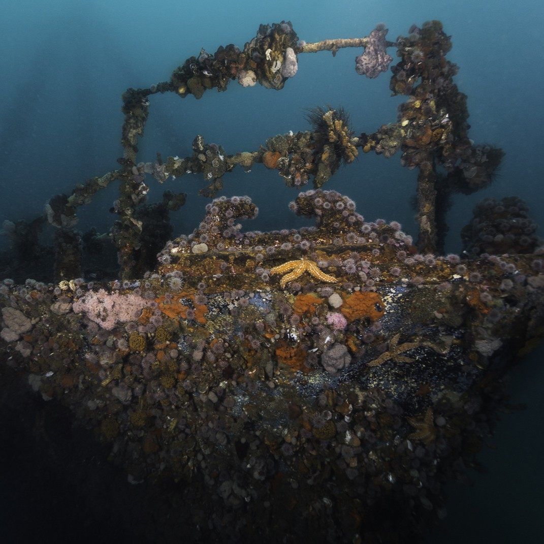 Advanced Open Water Diver - Image 2
