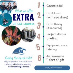 Night Diver Course