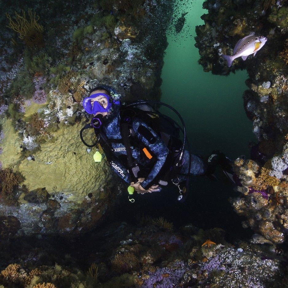 Deep Diver Course - Image 4