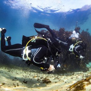 Peak Performance Buoyancy Course