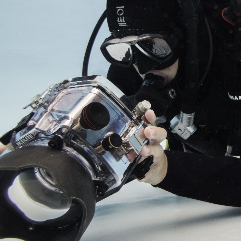 Digital Underwater Photographer Course - Image 3