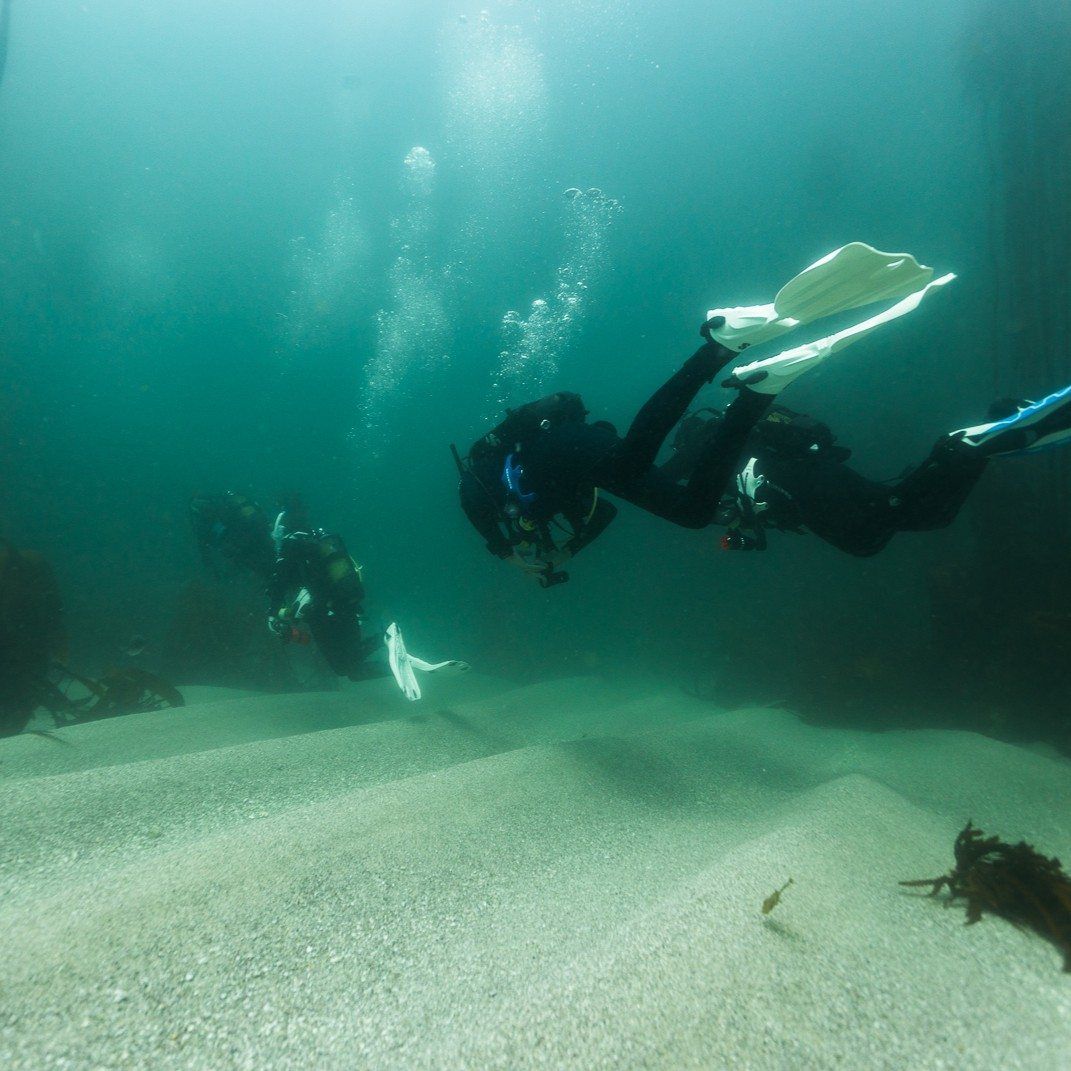 Divemaster Course - Image 4