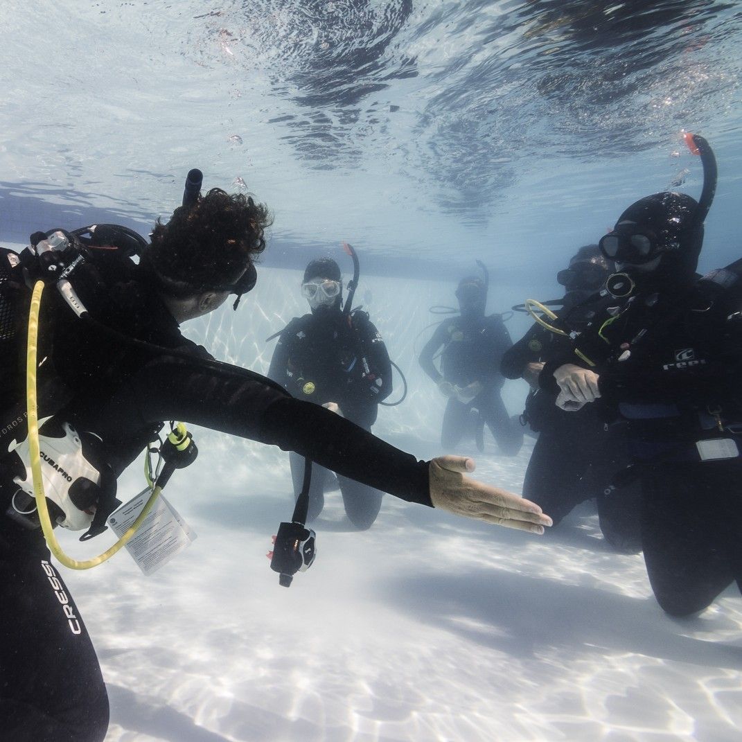 Divemaster Course - Image 2
