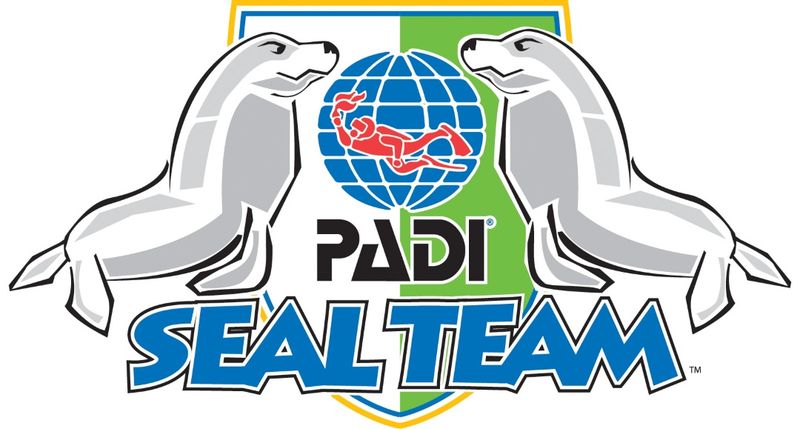Seal Team Kids Course