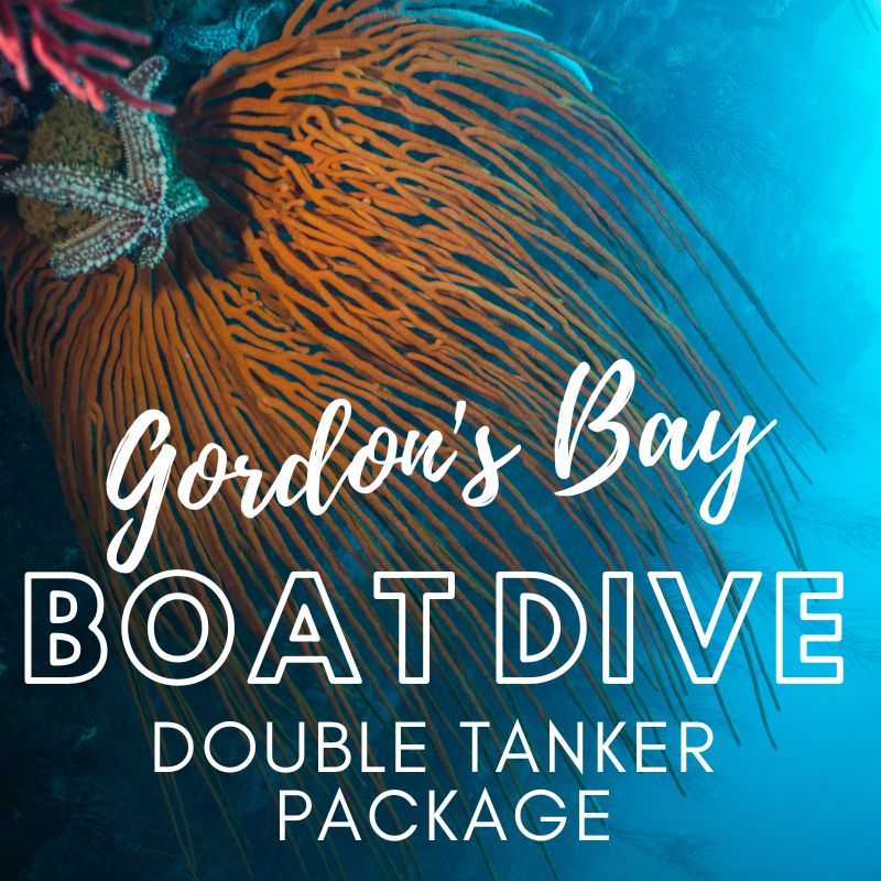 Gordon's Bay Boat Dive (Double) Package