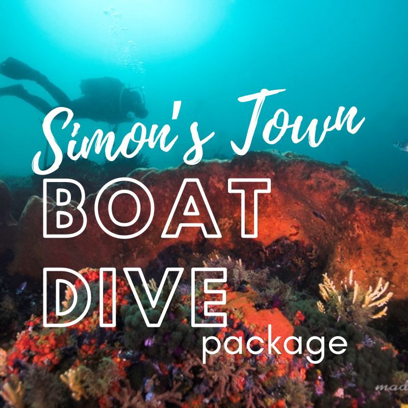 Simons Town Boat Dive Package