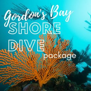 Gordon's Bay Shore Dive Package