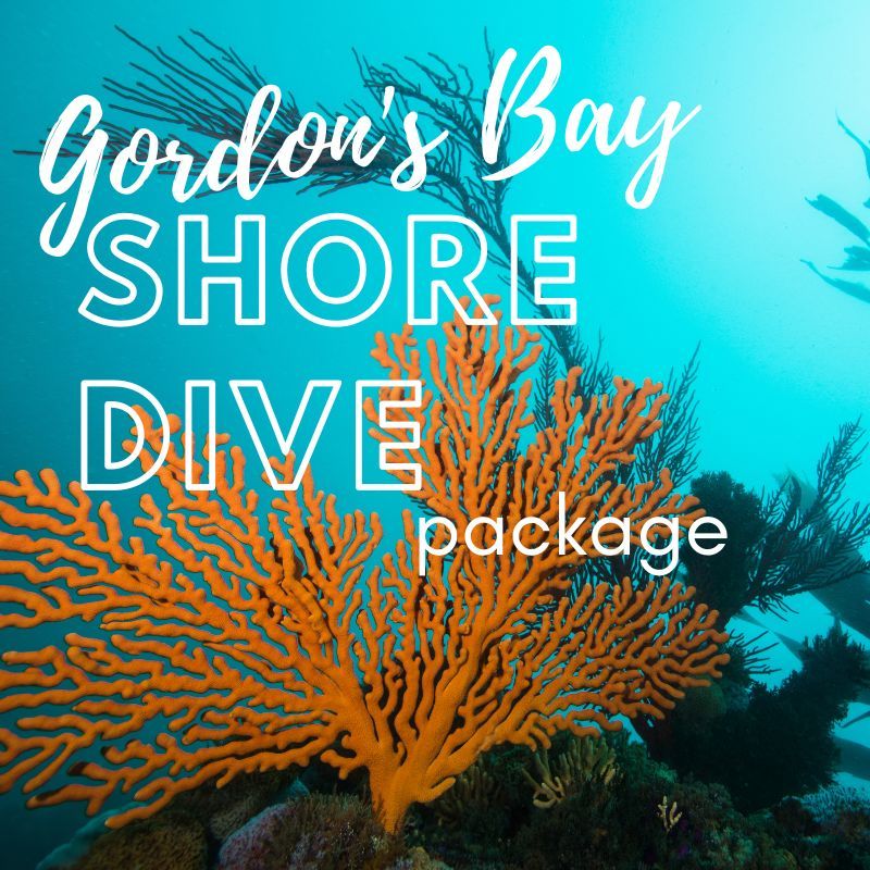 Gordon's Bay Shore Dive Package