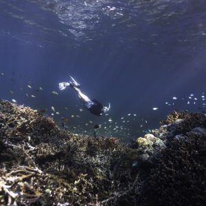 Snorkel Adventure Package