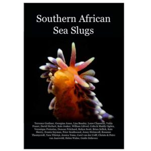 Southern African Sea Slugs